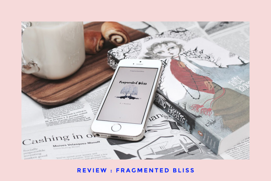 Review: Fragmented Bliss by B.J. Rosalind