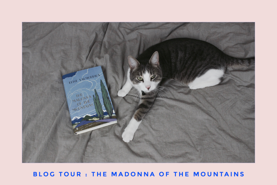 Blog tour : The Madonna of the Mountains by Elise Valmorbida